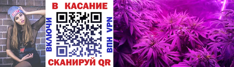 Где продают наркотики Кингисепп Бошки Шишки  МЕФ  КОКАИН  Гашиш 