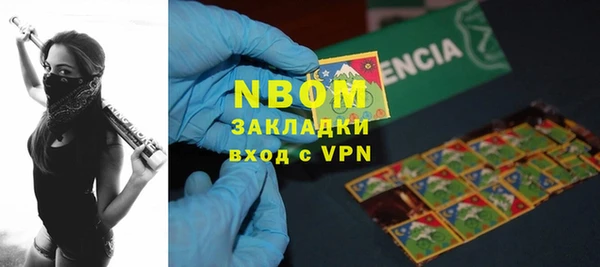ПСИЛОЦИБИНОВЫЕ ГРИБЫ Каменка