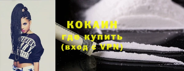 ПСИЛОЦИБИНОВЫЕ ГРИБЫ Каменка