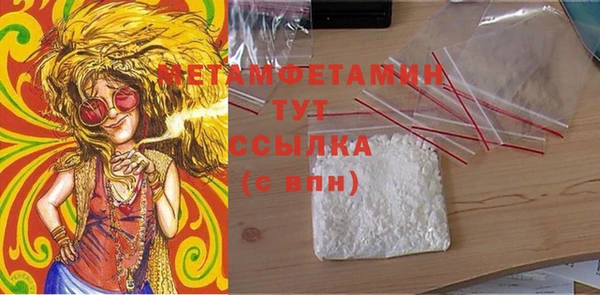 ПСИЛОЦИБИНОВЫЕ ГРИБЫ Каменка
