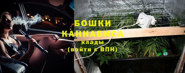 винт Инсар