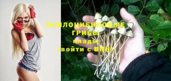 гашик Каменск-Шахтинский
