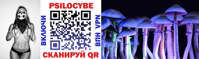 Псилоцибиновые грибы Cubensis  Кингисепп 