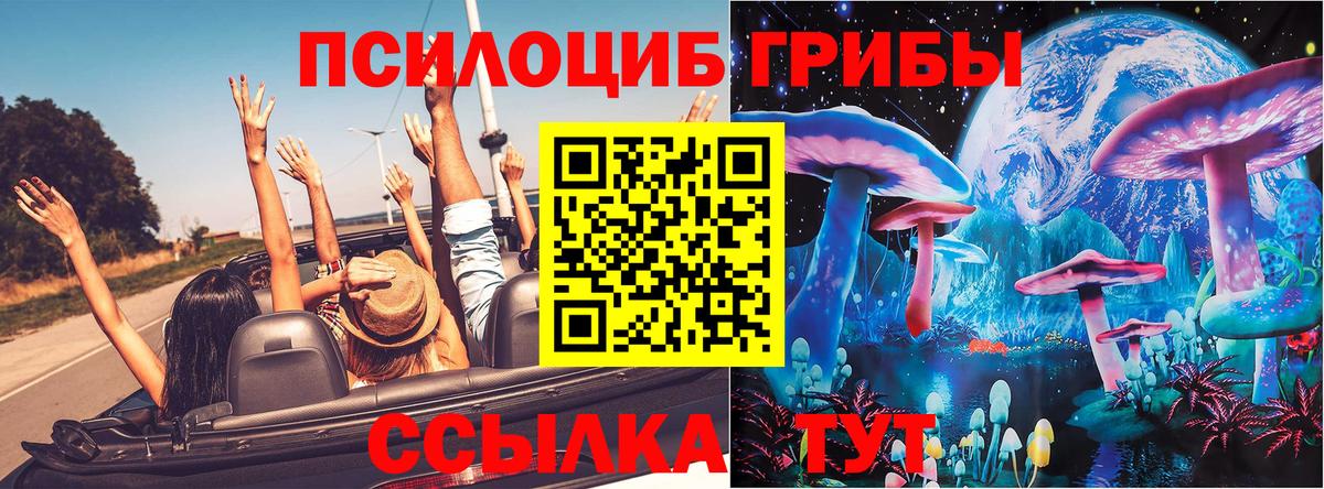 Галлюциногенные грибы Psilocybine cubensis Кингисепп