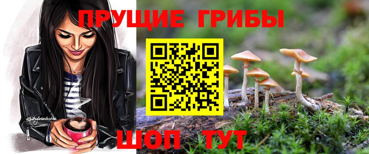Кингисепп  Псилоцибиновые грибы ЛСД  Псилоцибиновые грибы Magic Shrooms  Вход с VPN 