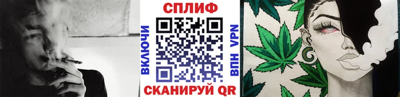 где продают Кингисепп МАРИХУАНА планчик